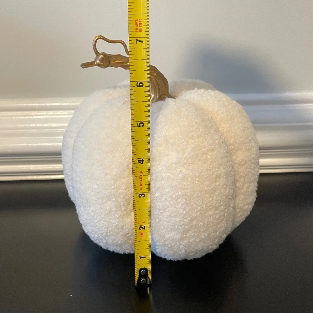 5 for $20: Target sherpa pumpkin